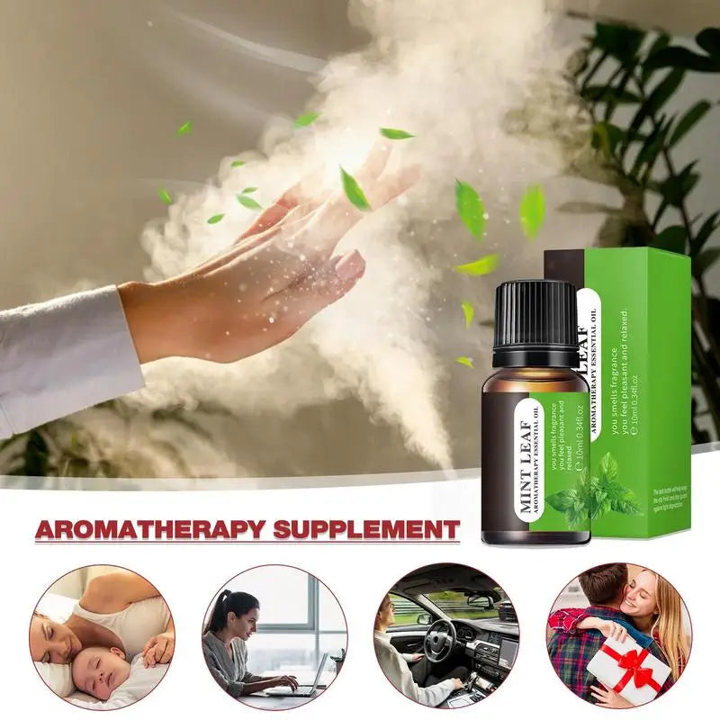 Essential Oils For Diffuser and Humidifiers